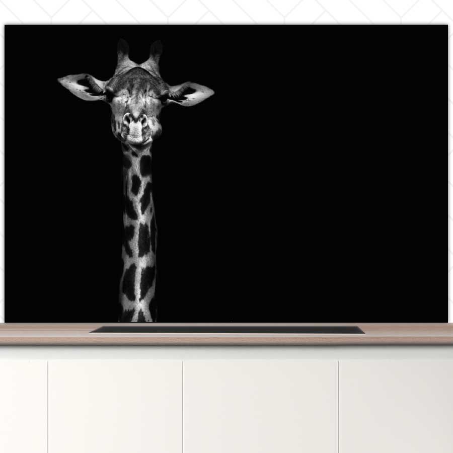 Spatscherm - Giraf