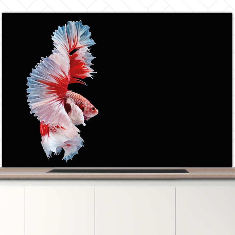 Spatscherm - Betta vis