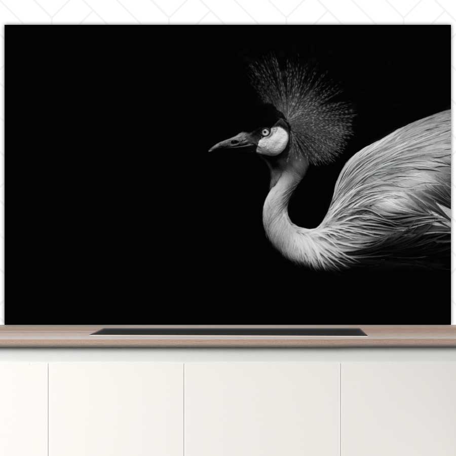 Spatscherm - Kraanvogel