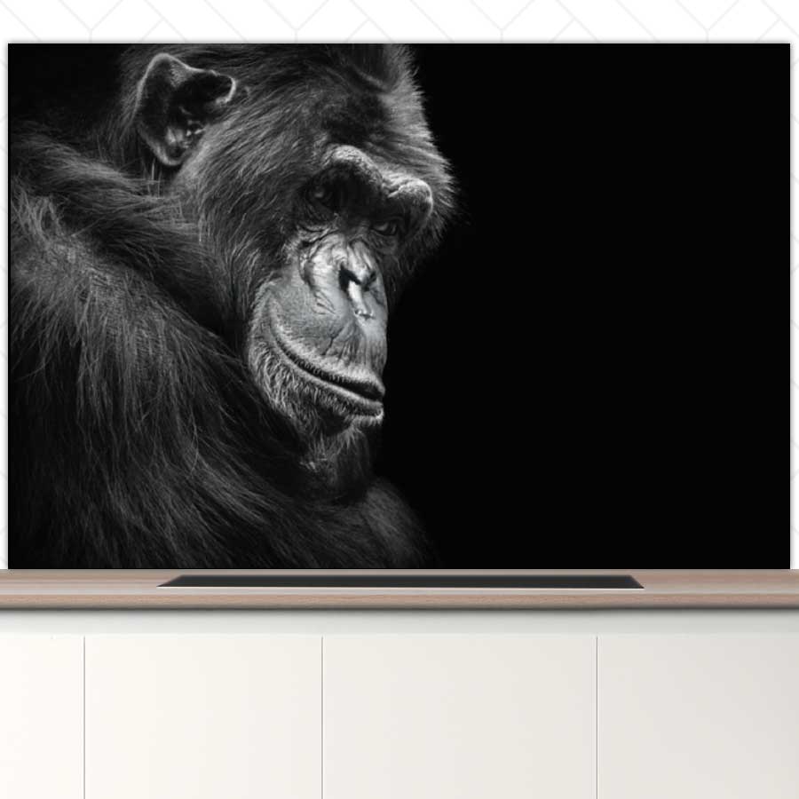 Spatscherm - Chimpansee