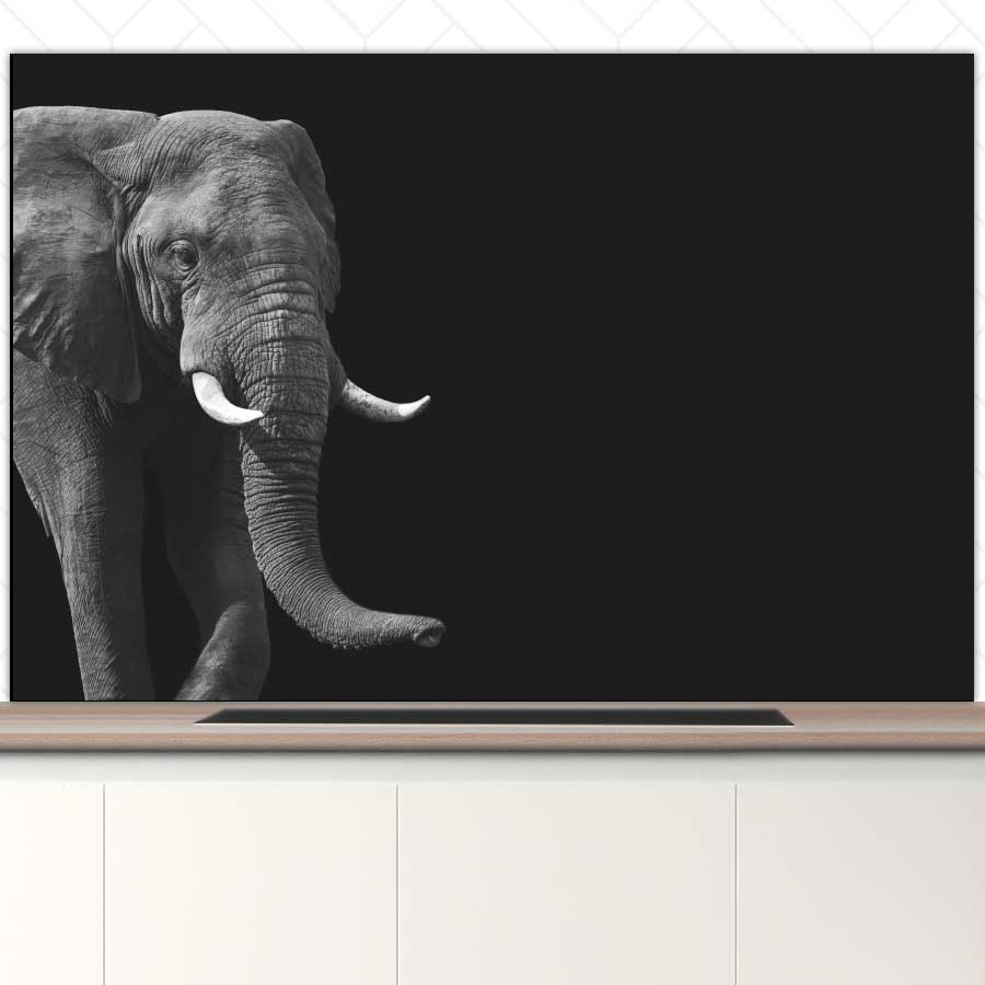 Spatscherm - Afrikaanse olifant