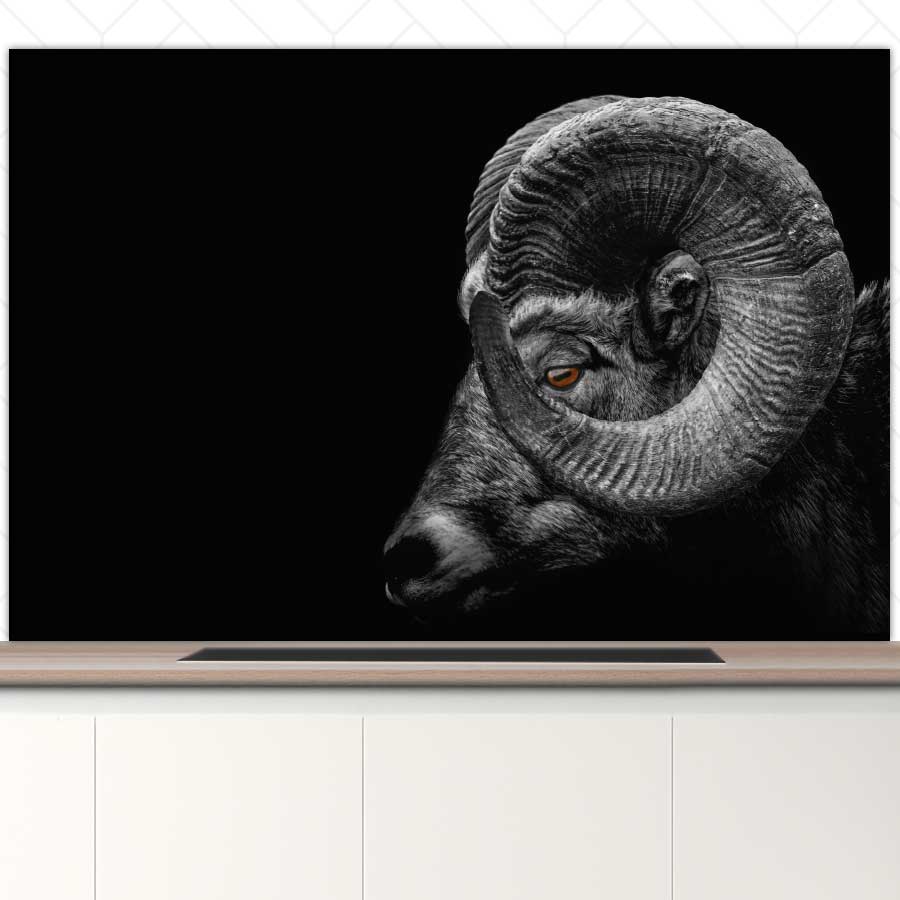 Spatscherm - Ram