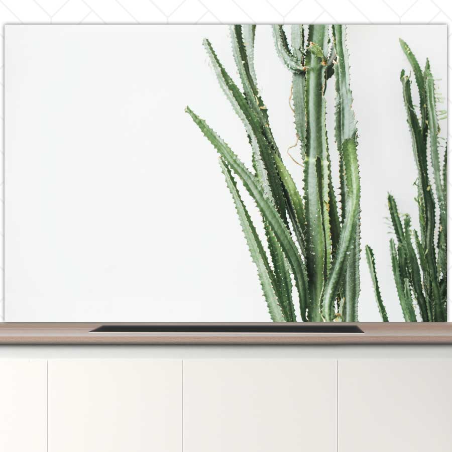 Spatscherm - Cactus