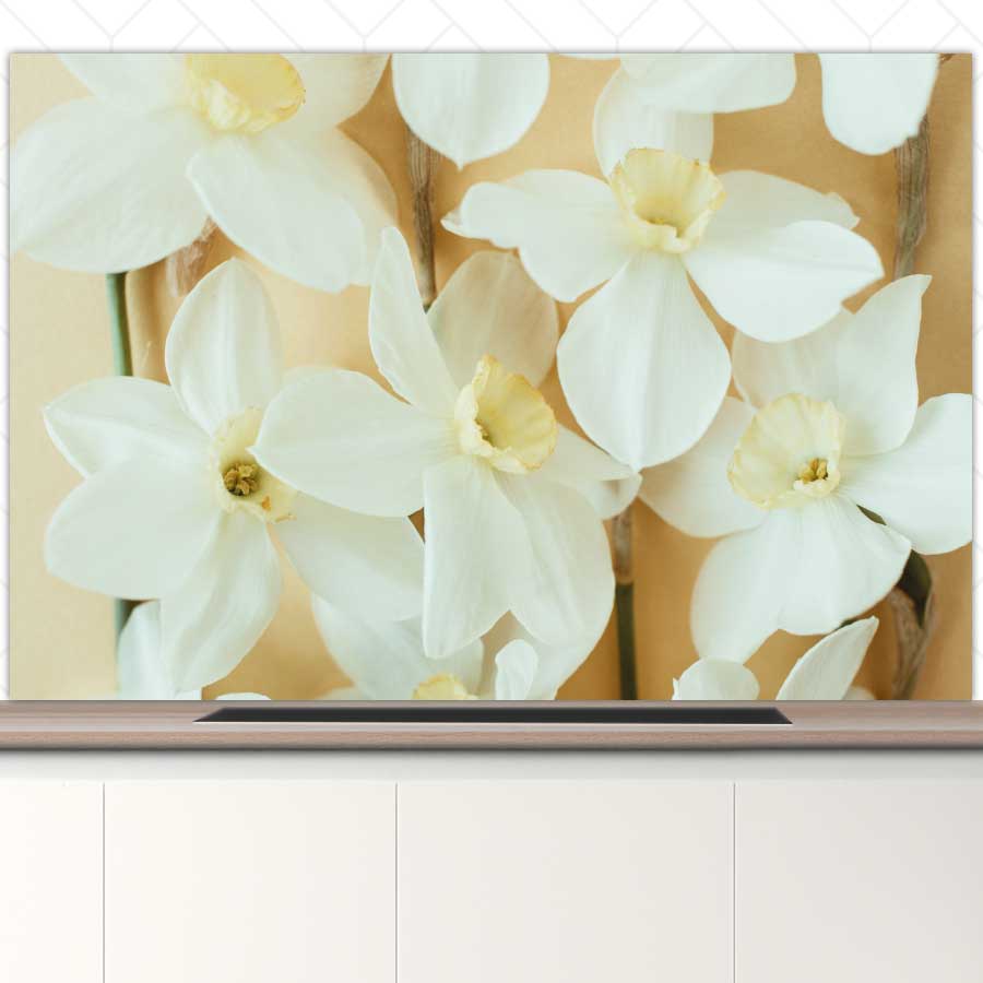Spatscherm - Narcissen