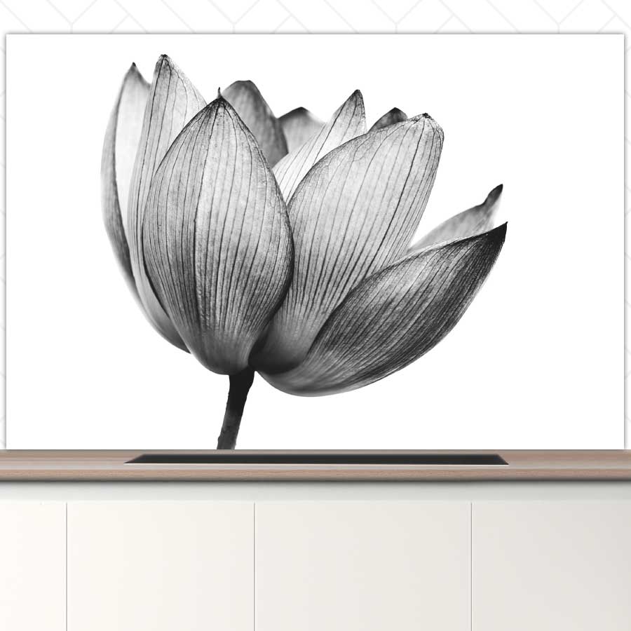 Spatscherm - Lotus in zwart-wit