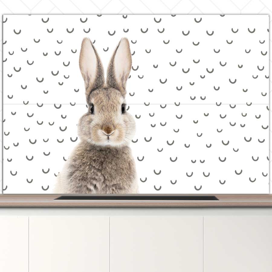 Spatscherm - Funny konijn fugler