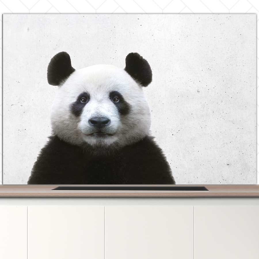 Spatscherm - Funny panda beton