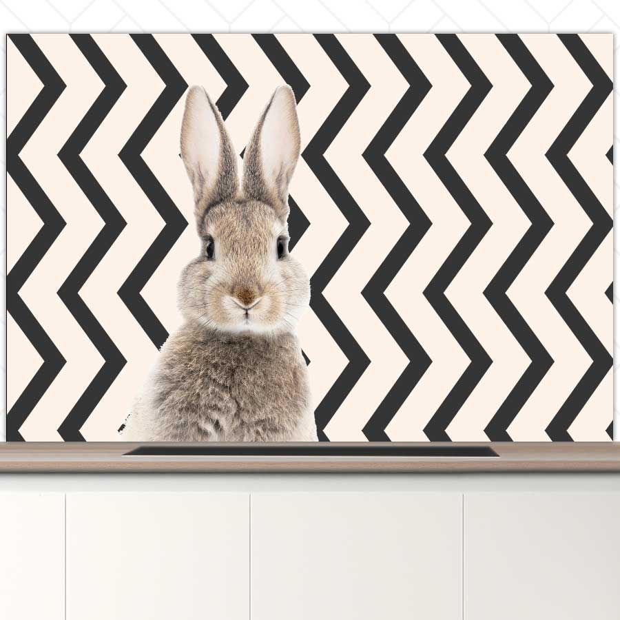 Spatscherm - Funny konijn zigzag