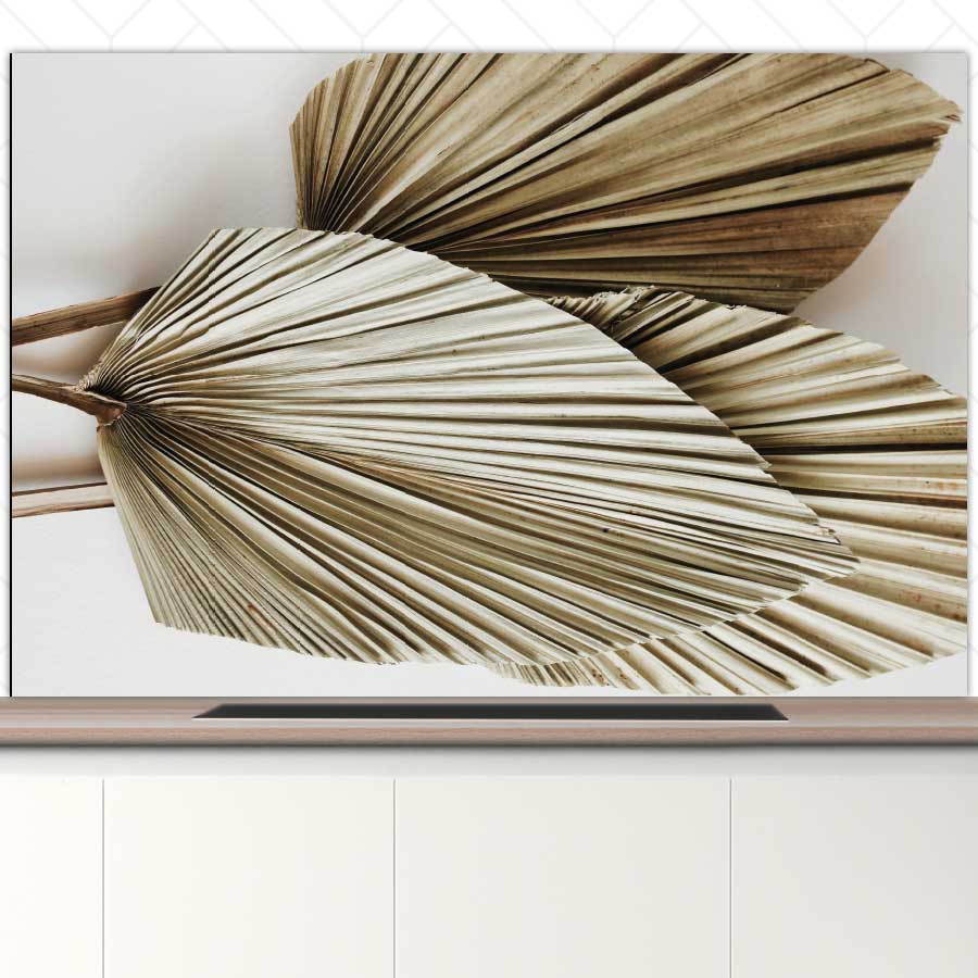 Spatscherm - Gedroogde palmbladeren