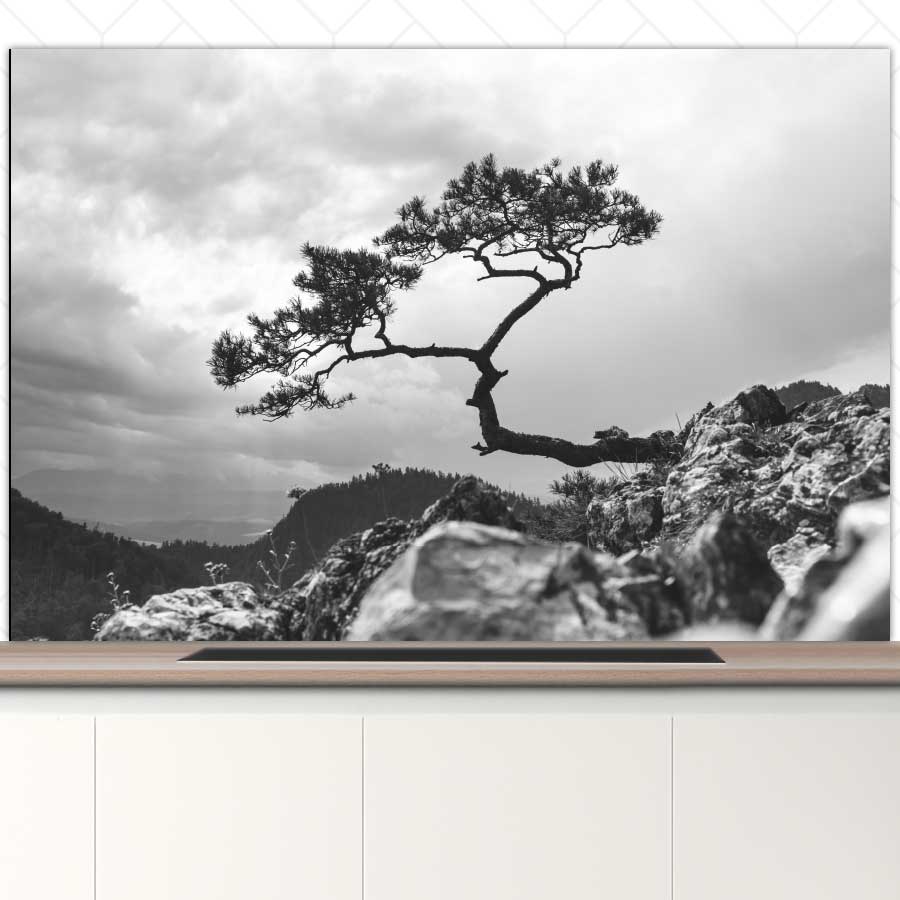 Spatscherm - Overhangende boom