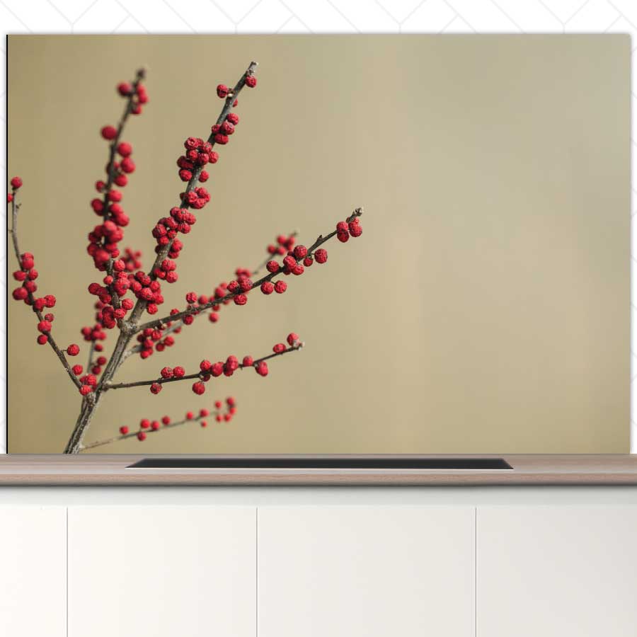 Spatscherm - Rode bessen