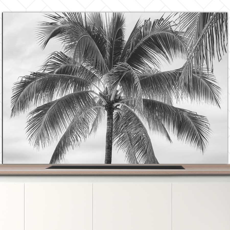 Spatscherm - Palmboom