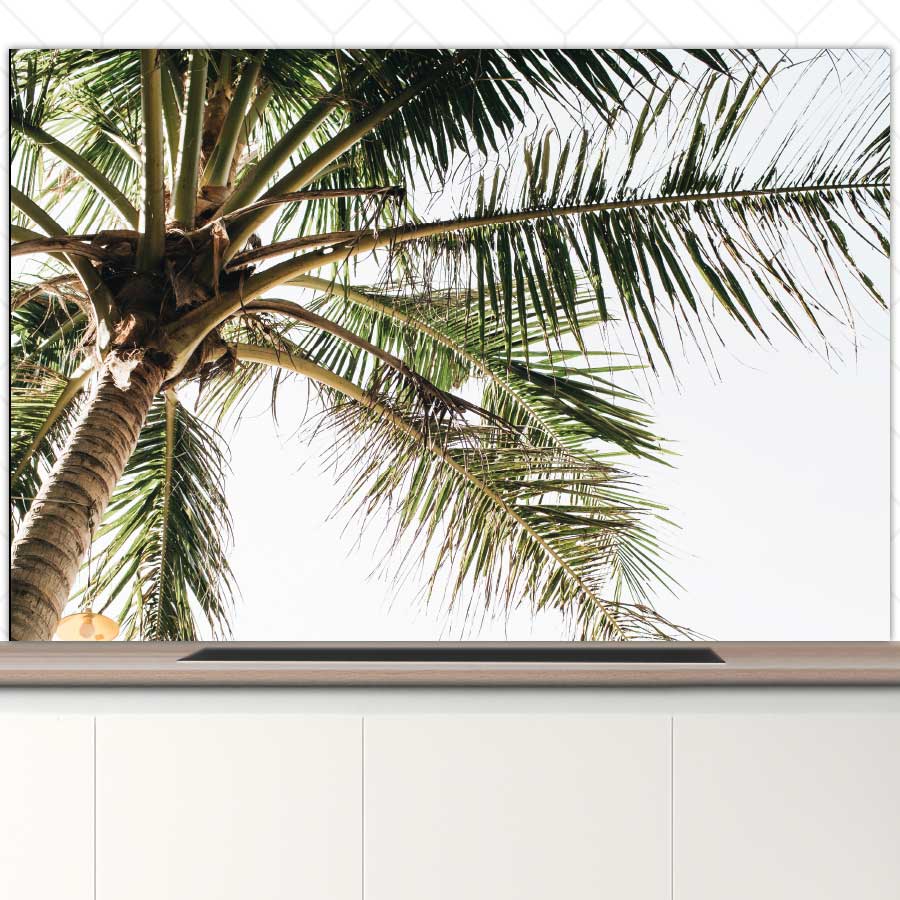 Spatscherm - Palmstrand