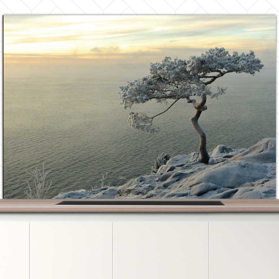 Spatscherm - Winterboom