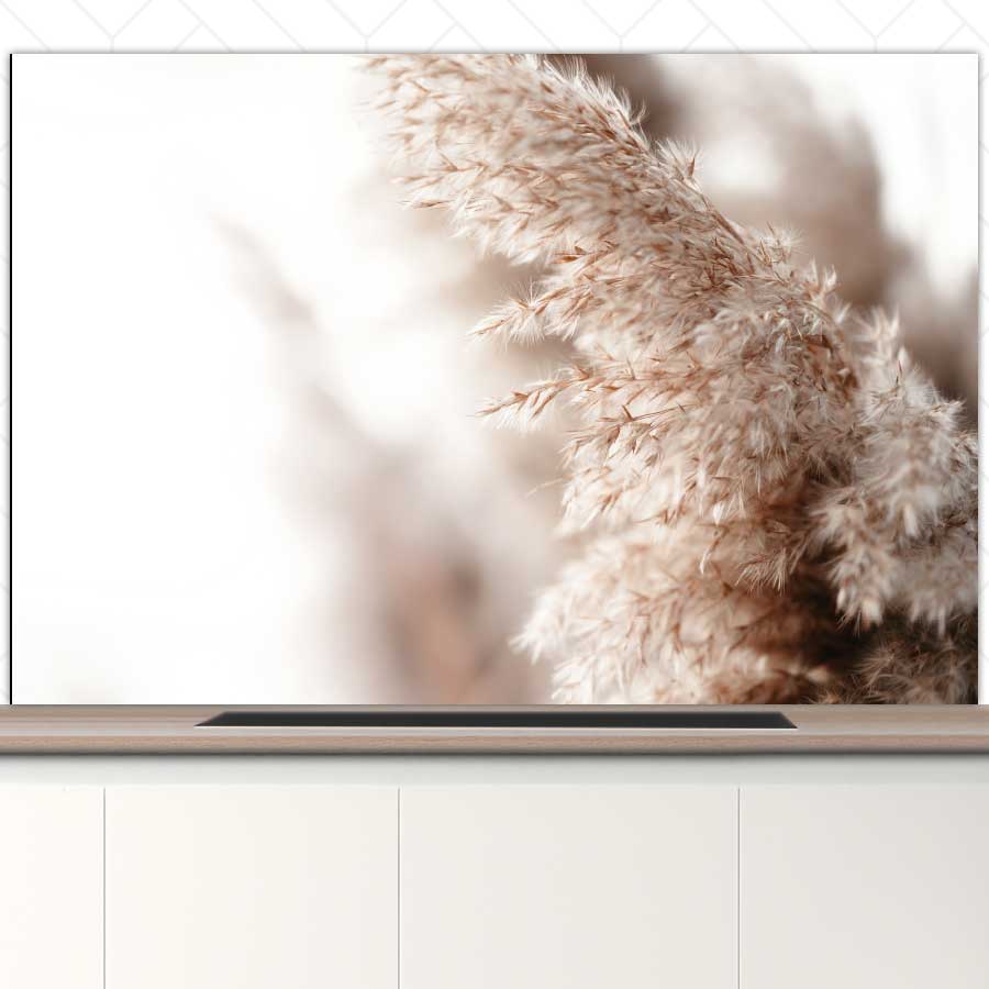 Spatscherm - Pampas gras