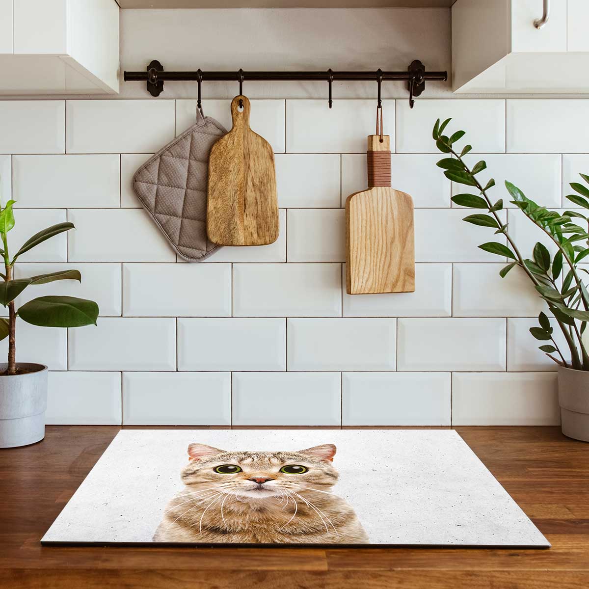 Inductie beschermer - Funny kat beton