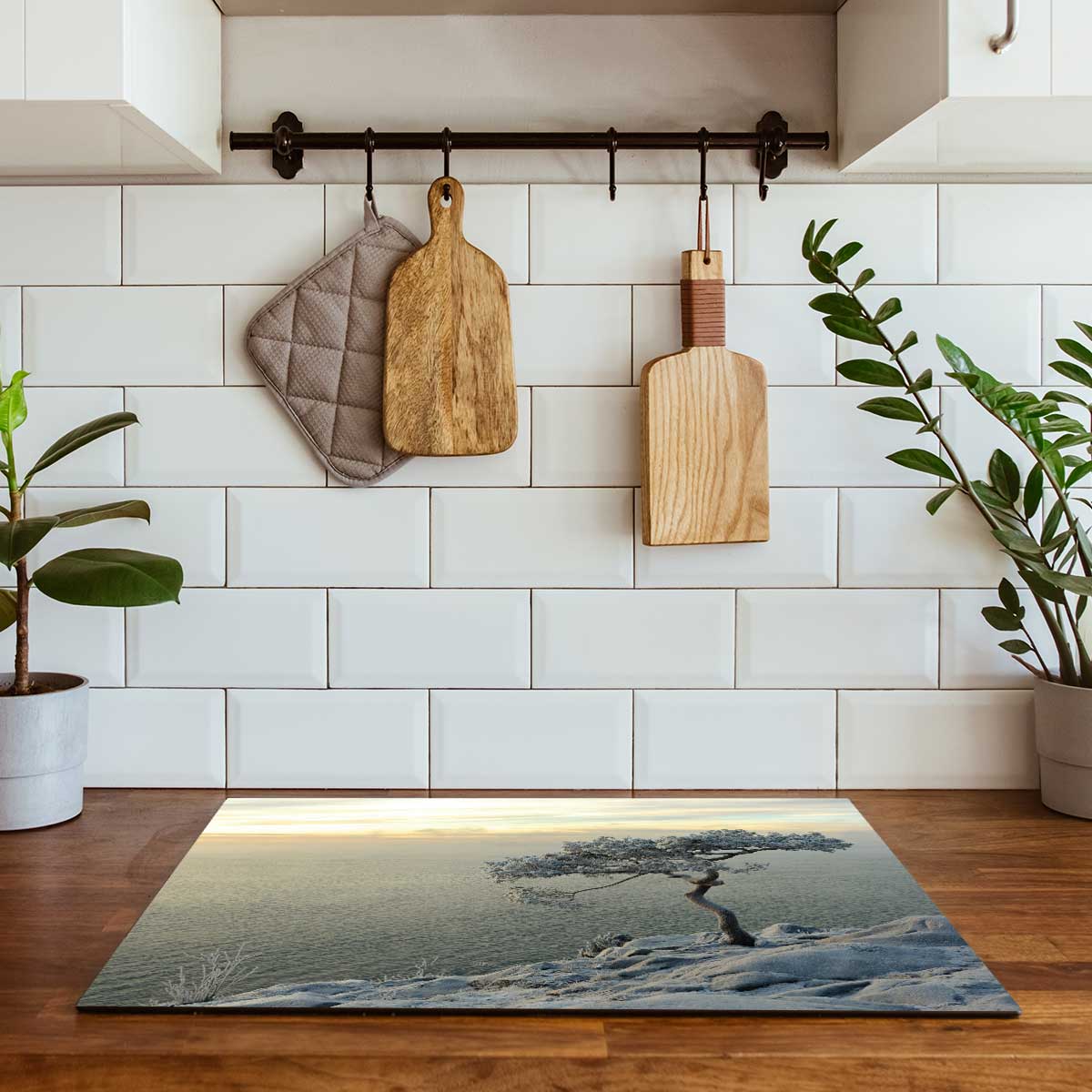 Inductie beschermer - Winterboom