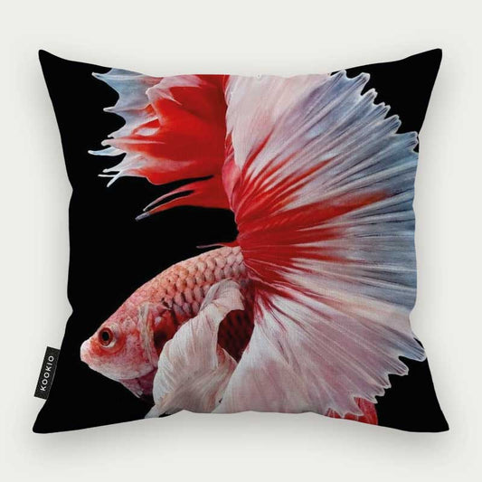 Sierkussen dieren - Betta vis