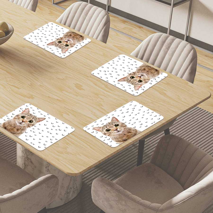 Placemat - Funny kat fugler