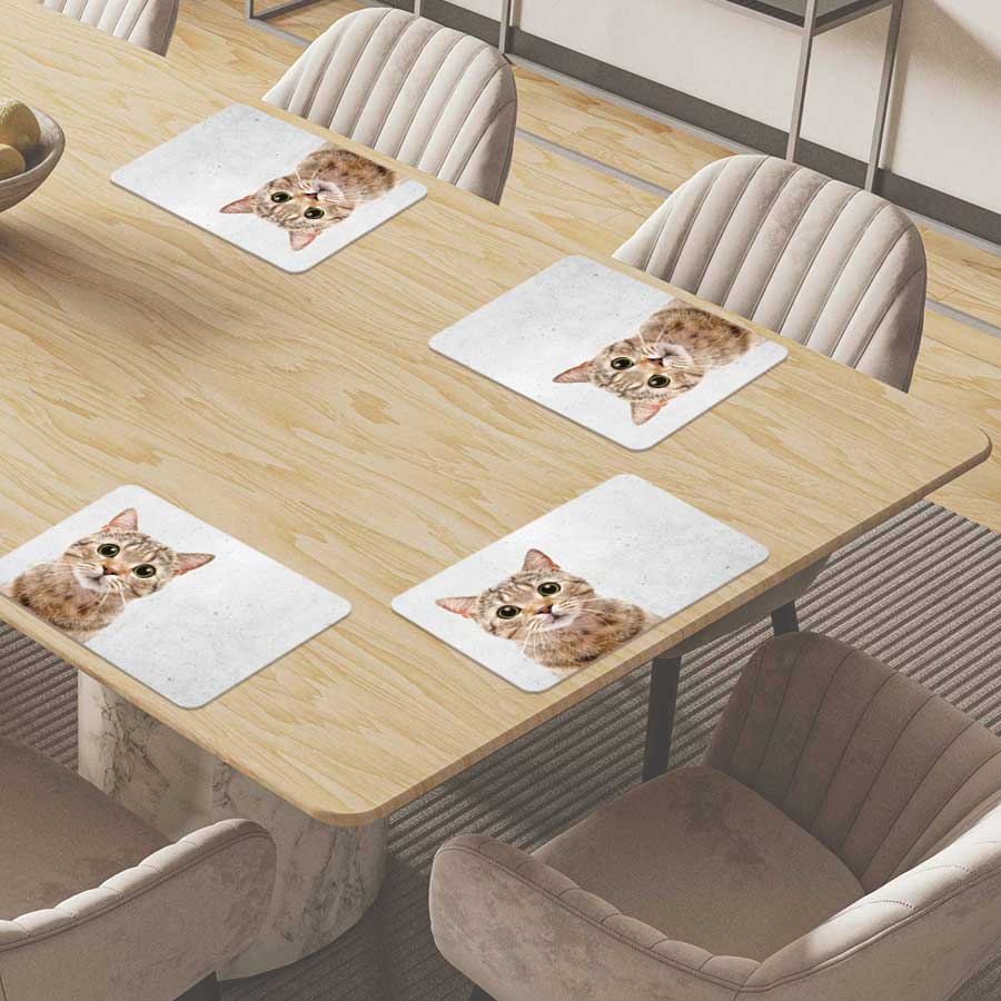 Placemat - Funny kat beton