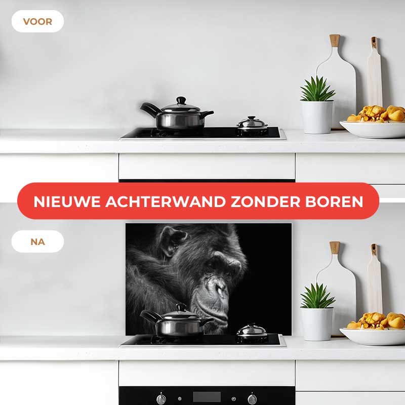 Spatscherm - Chimpansee