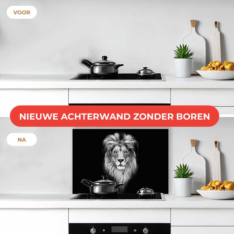 Spatscherm - Leeuw