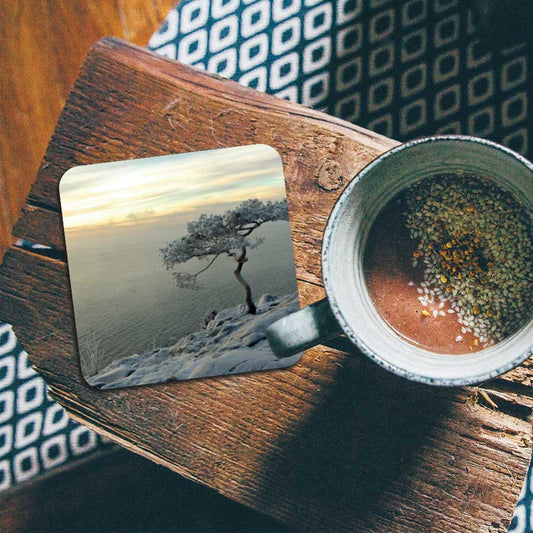 Onderzetter - Winterboom