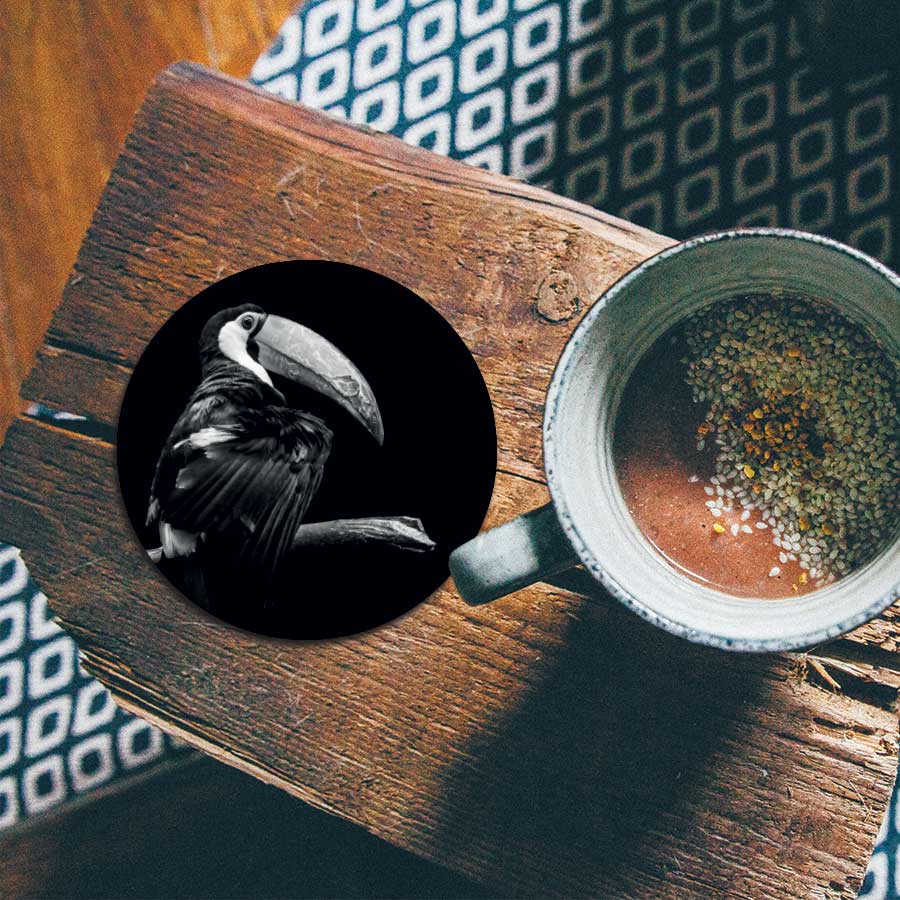 Onderzetter - Toekan