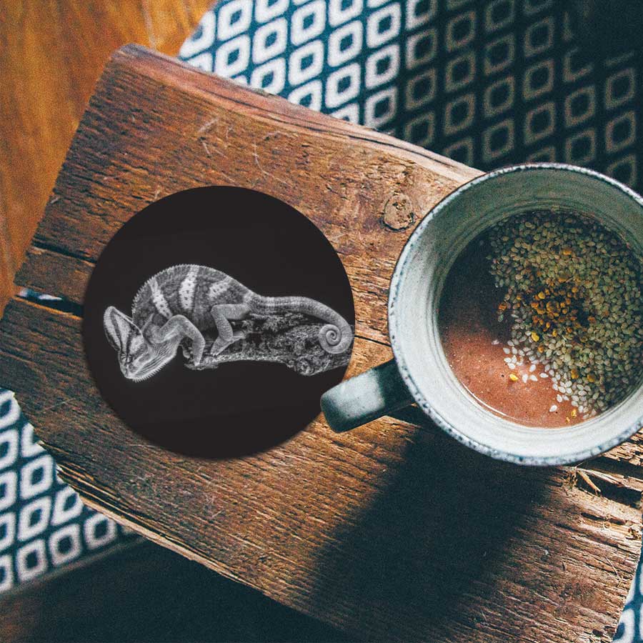 Onderzetter - Kameleon