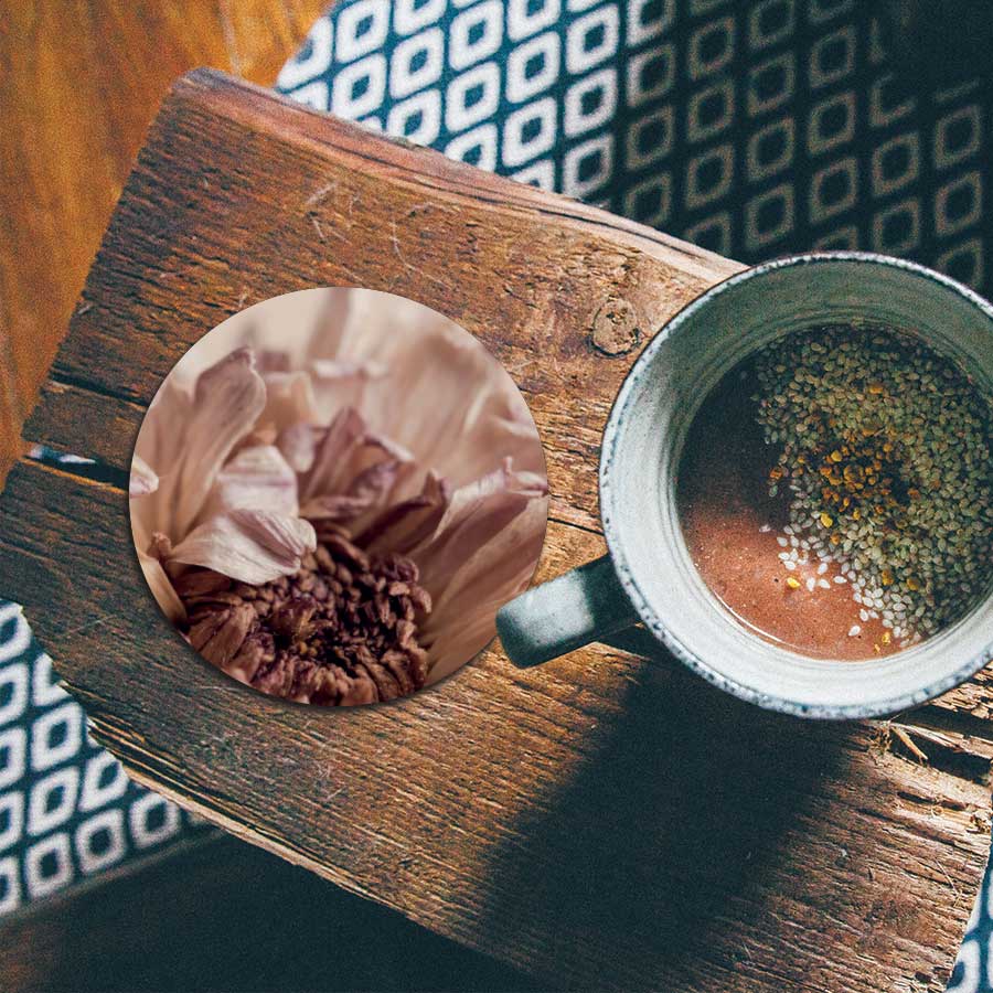 Onderzetter - Gedroogde chrysant