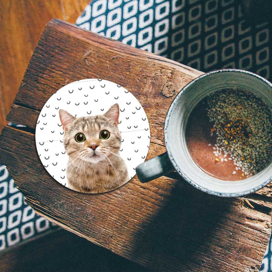 Onderzetter - Funny kat fugler