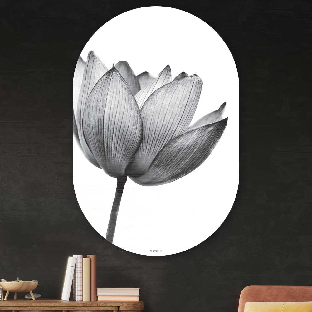 Muurovaal - Lotus in zwart-wit - Aluminium