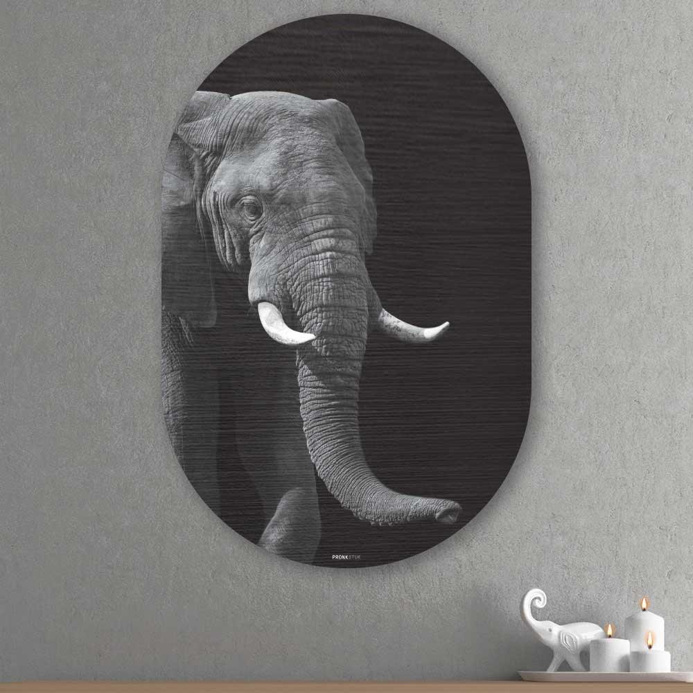 Muurovaal - Afrikaanse Olifant - Aluminium