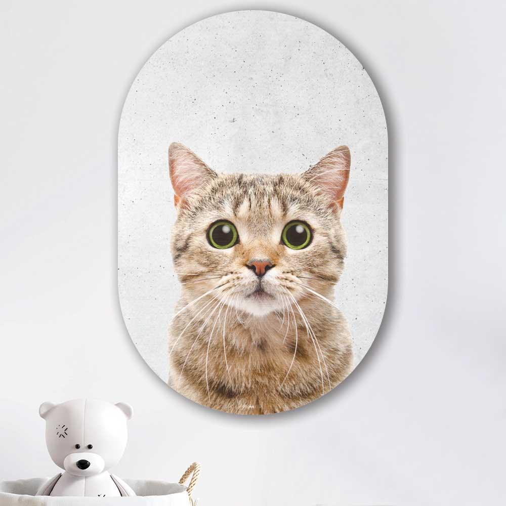 Muurovaal - Funny kat beton - Aluminium