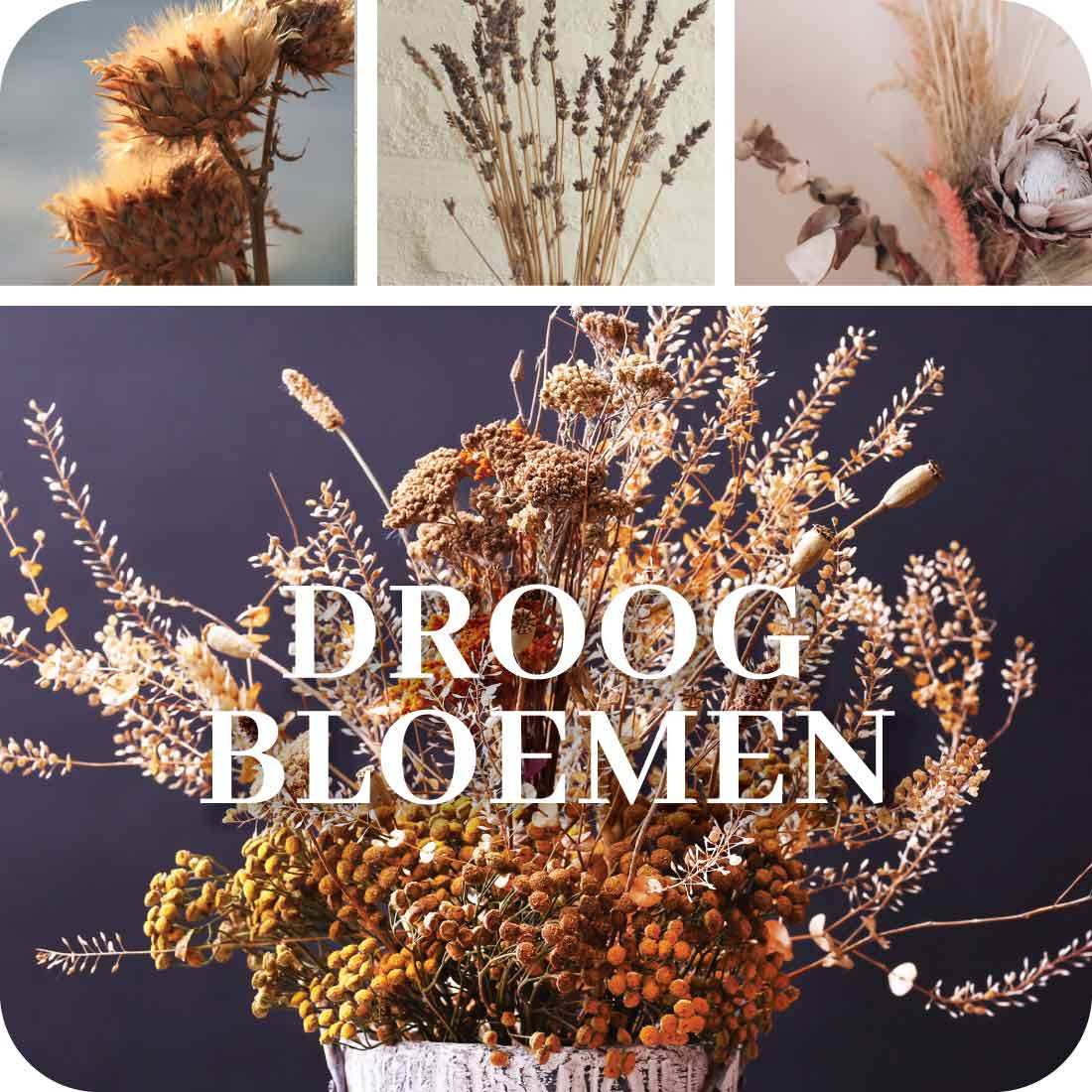 Inductie Beschermers Droogbloemen - Kookio