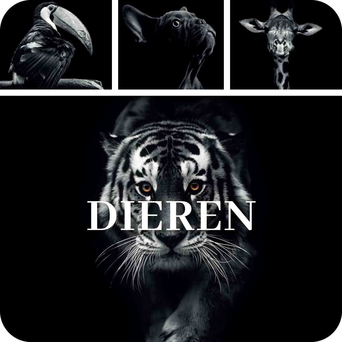 Dieren Spatschermen voor keukenwand van Kookio
