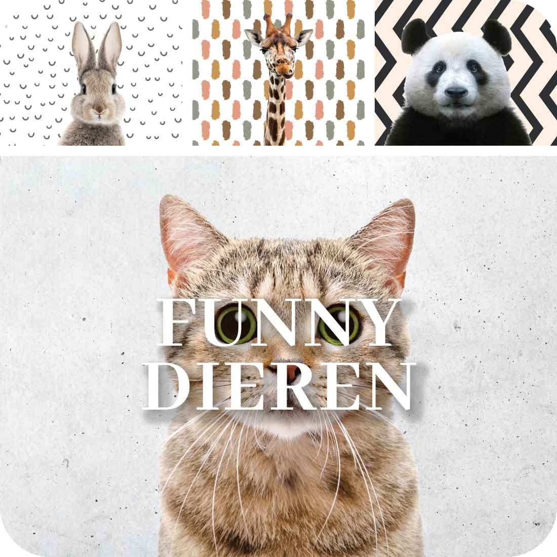 Funny Dieren Spatschermen voor keukenwand van Kookio