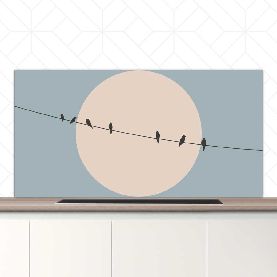 Spatscherm - Vogels op een draad