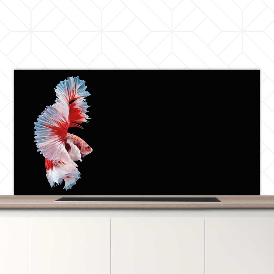 Spatscherm - Betta vis