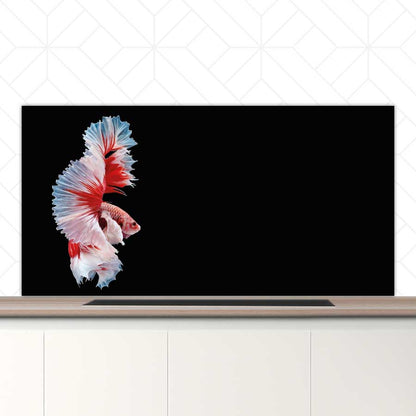 Spatscherm - Betta vis