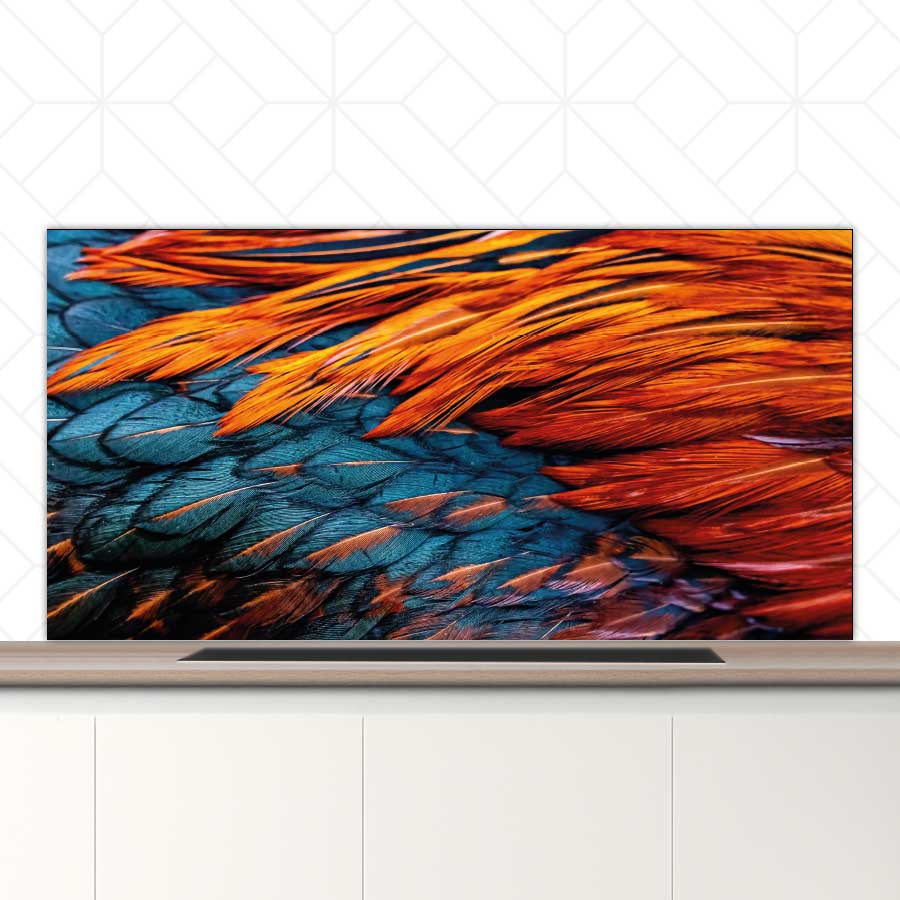 Spatscherm - Hanenveer