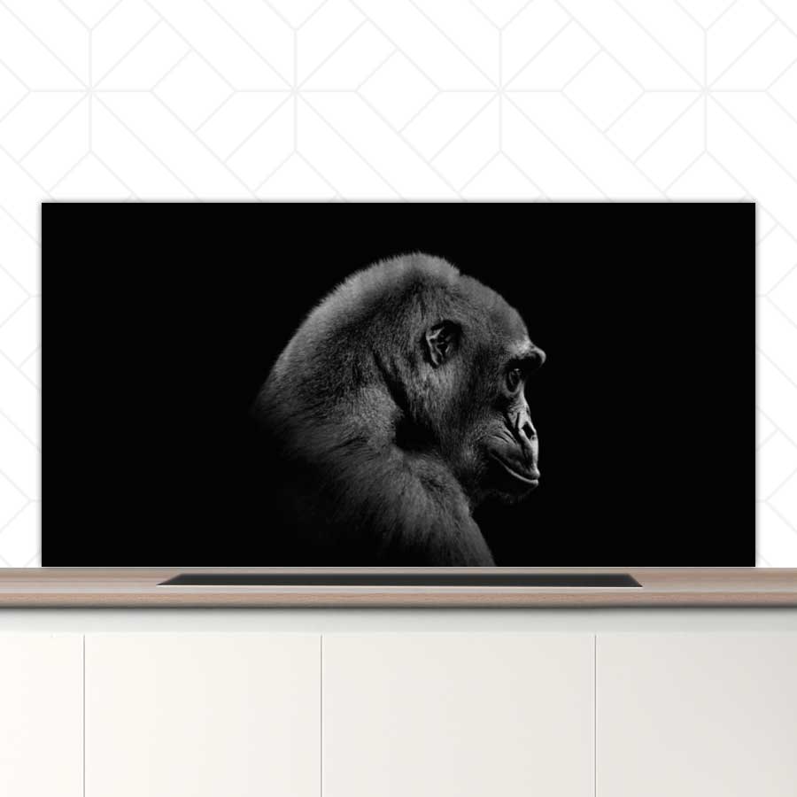 Spatscherm - Gorilla