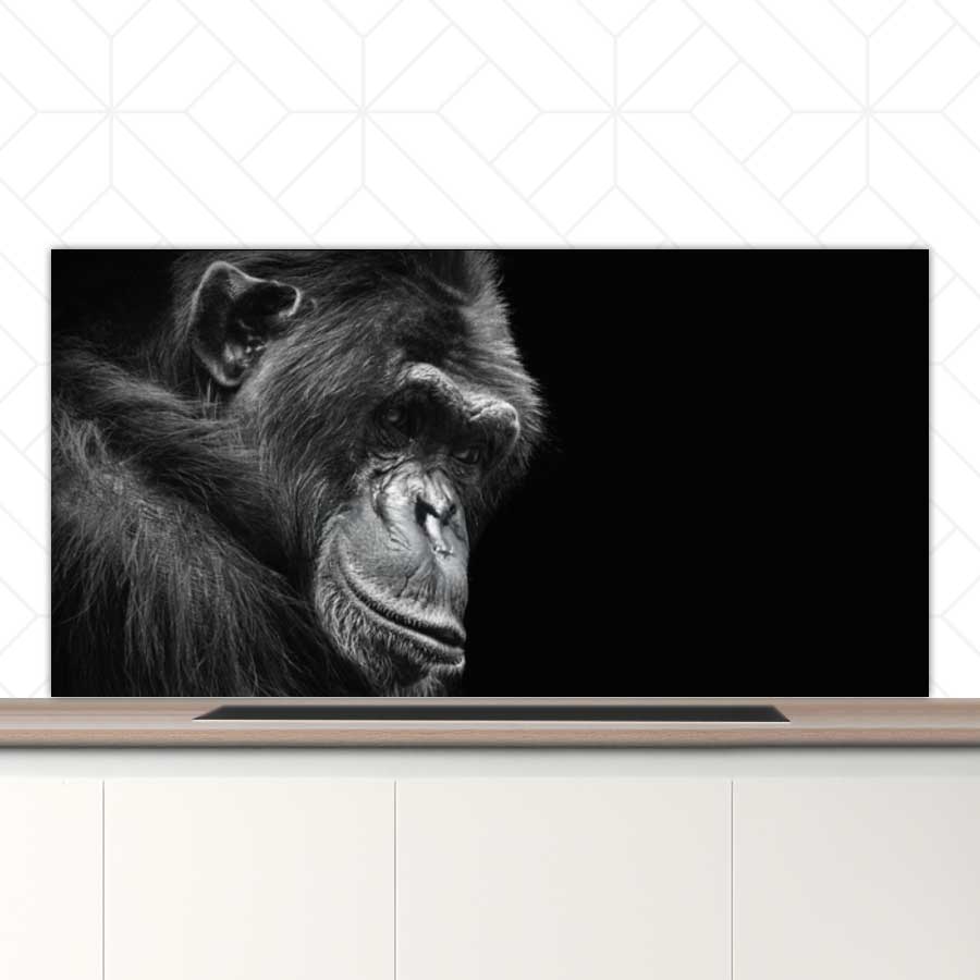 Spatscherm - Chimpansee