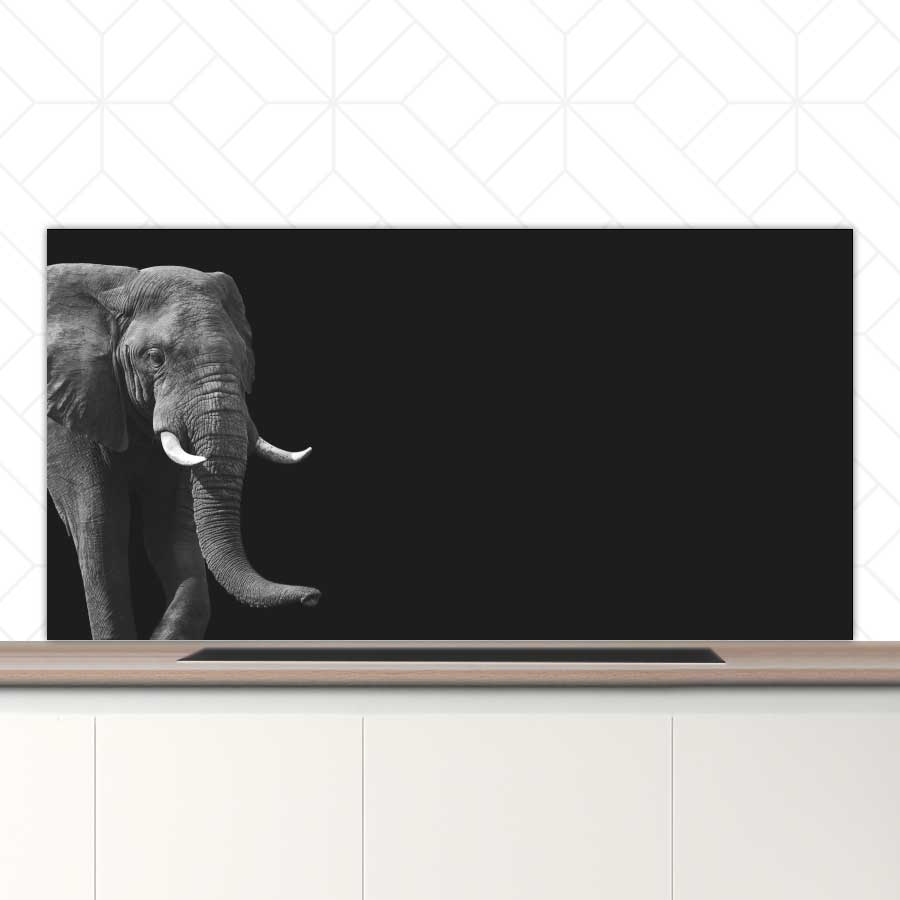 Spatscherm - Afrikaanse olifant