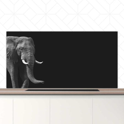 Spatscherm - Afrikaanse olifant