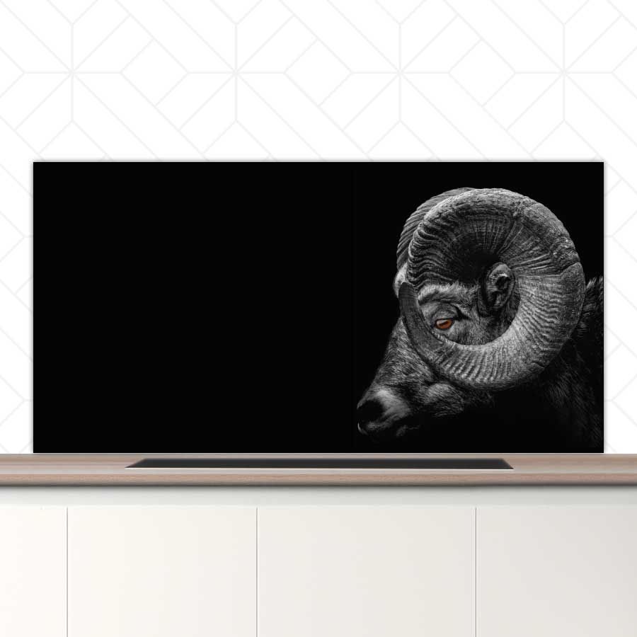 Spatscherm - Ram