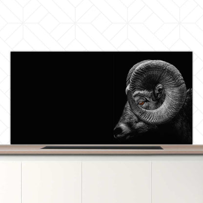 Spatscherm - Ram