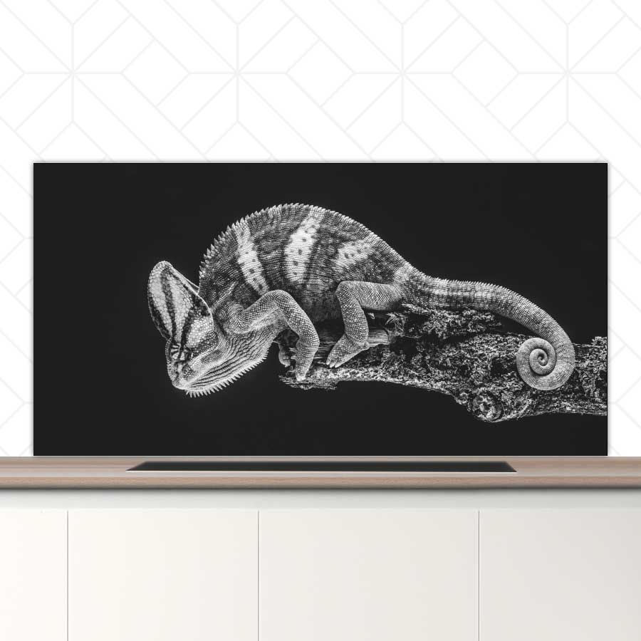 Spatscherm - Kameleon