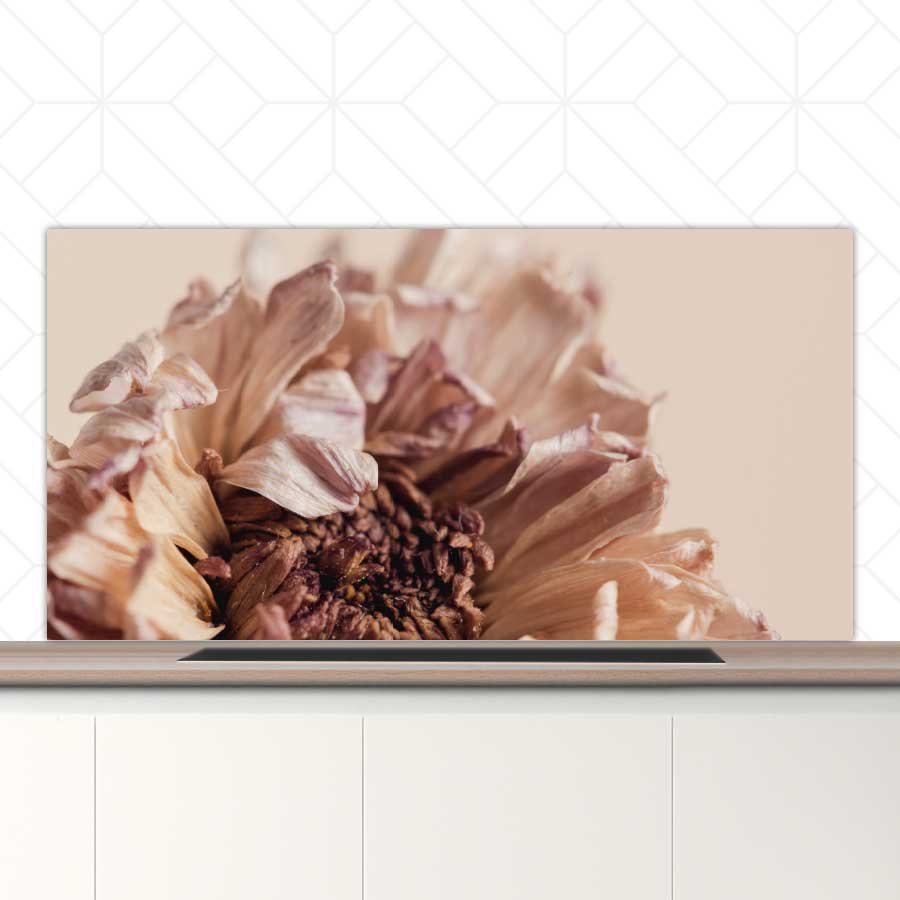 Spatscherm - Gedroogde chrysant