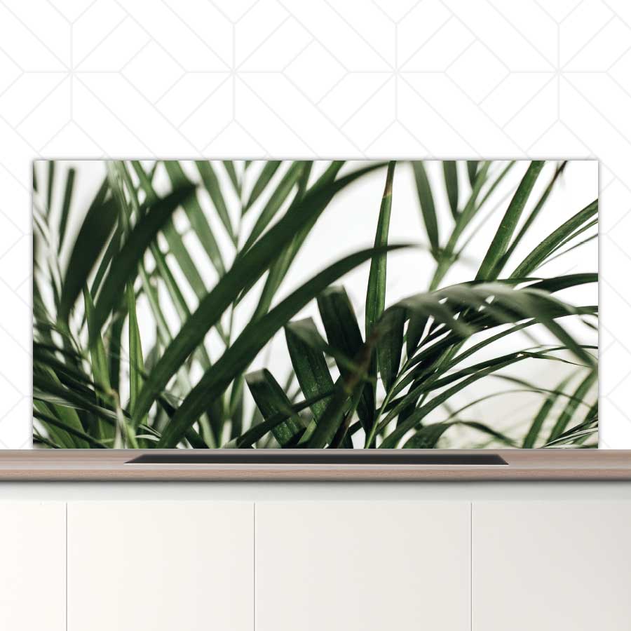Spatscherm - Palm bladeren
